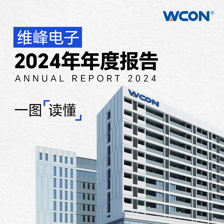 2024年年报